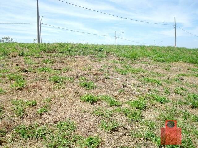 Terreno para Venda em Taubaté - 5