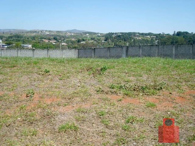 #VTBCD30 - Terreno para Venda em Taubaté - SP - 2