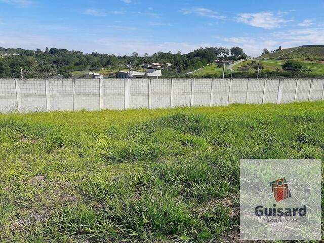 Terreno para Venda em Taubaté - 5