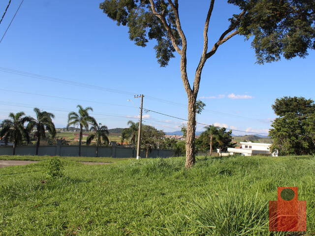 Área para Venda em Taubaté - 5