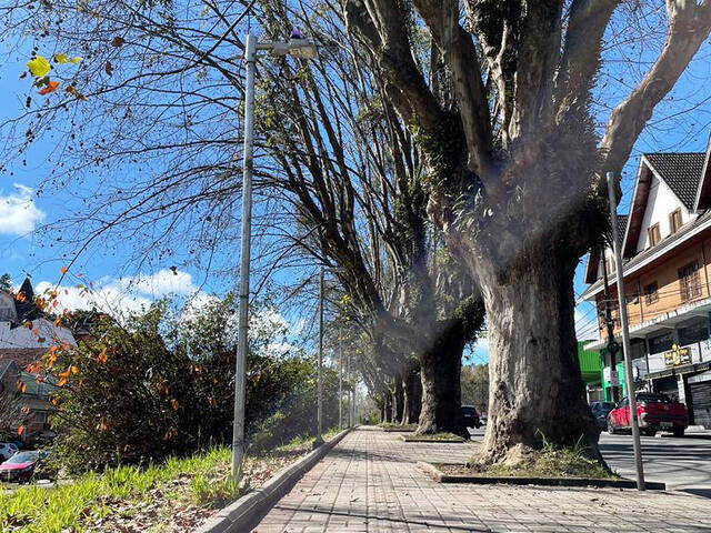 #VAP092 - Apartamento para Venda em Campos do Jordão - SP - 2