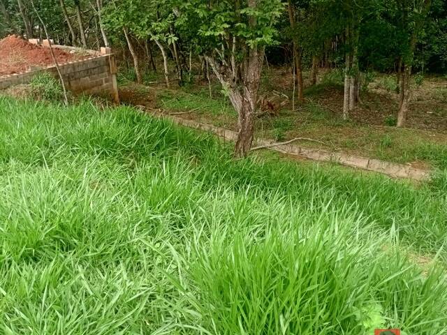 #VTWTf3 - Terreno em condomínio para Venda em Taubaté - SP - 3